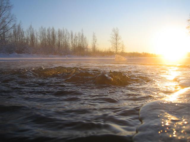 IMG_4665_3.JPG
