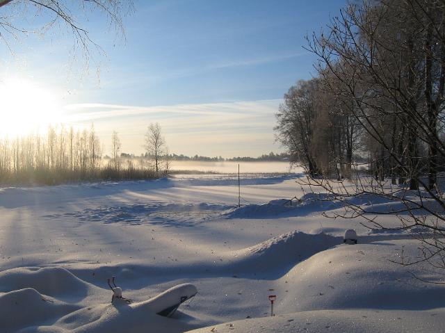 IMG_4665_4.JPG
